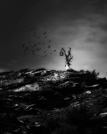 Dark Night
