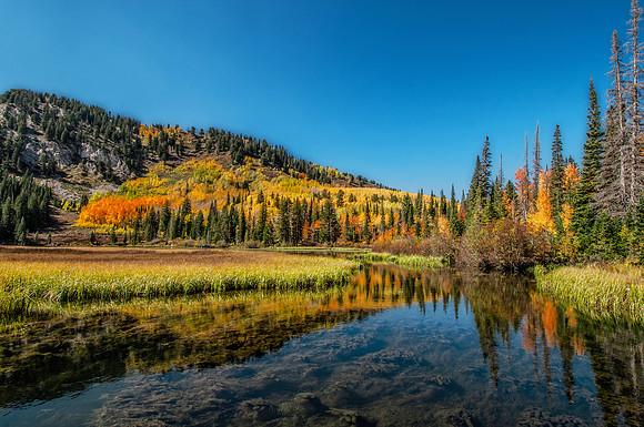 _DSC8790
