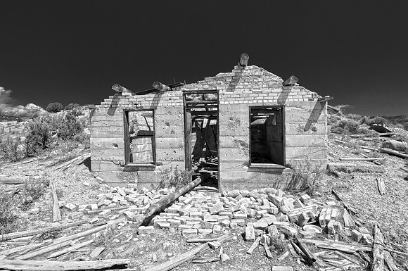 _DSC4434
